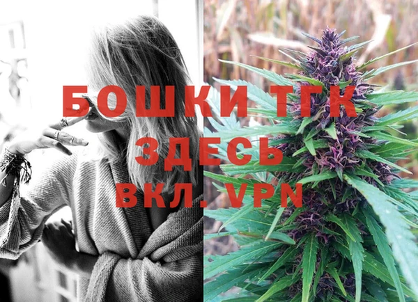 твердый Аркадак