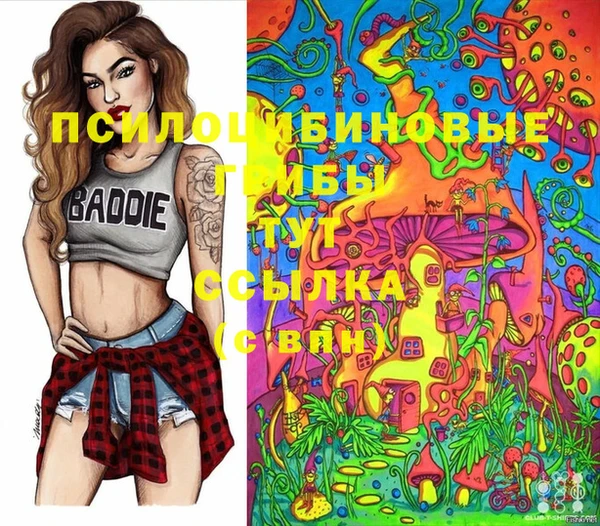 твердый Аркадак