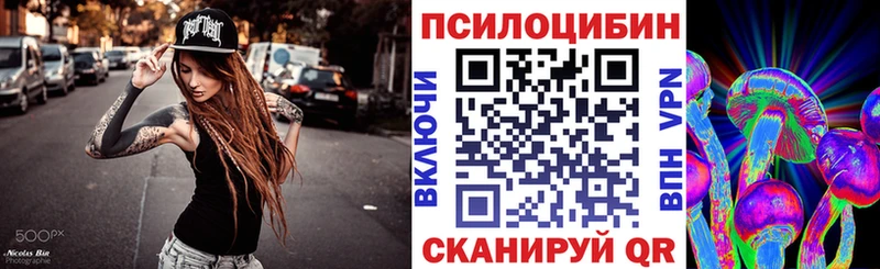 Купить где  Волхов  Галлюциногенные грибы MAGIC MUSHROOMS 