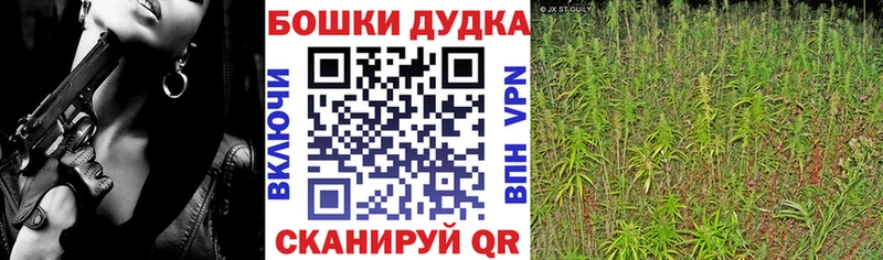 Каннабис Amnesia  Купить где  Волхов 